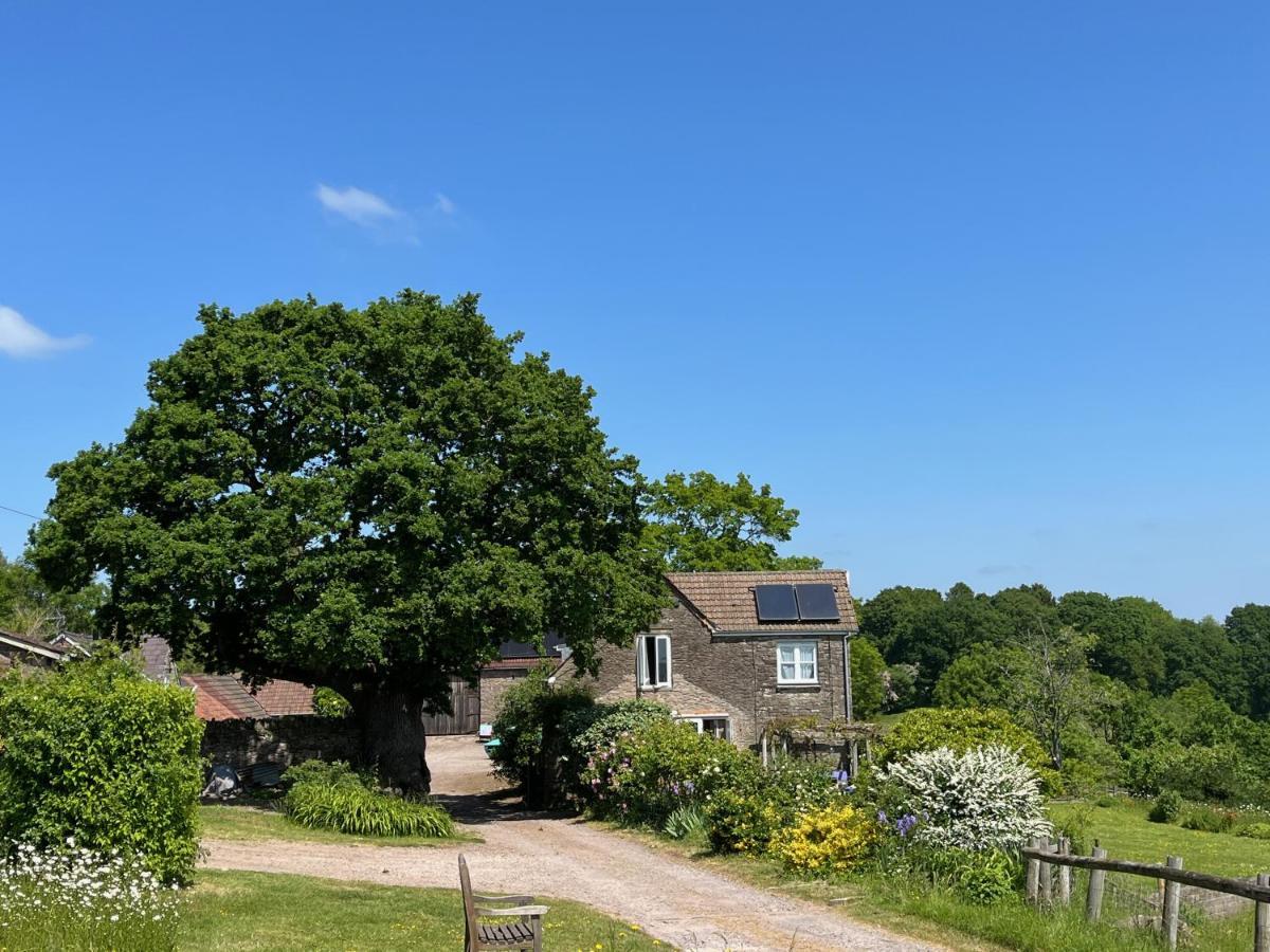 The Bothy At Oak Farm Apartment อัสค์ ภายนอก รูปภาพ